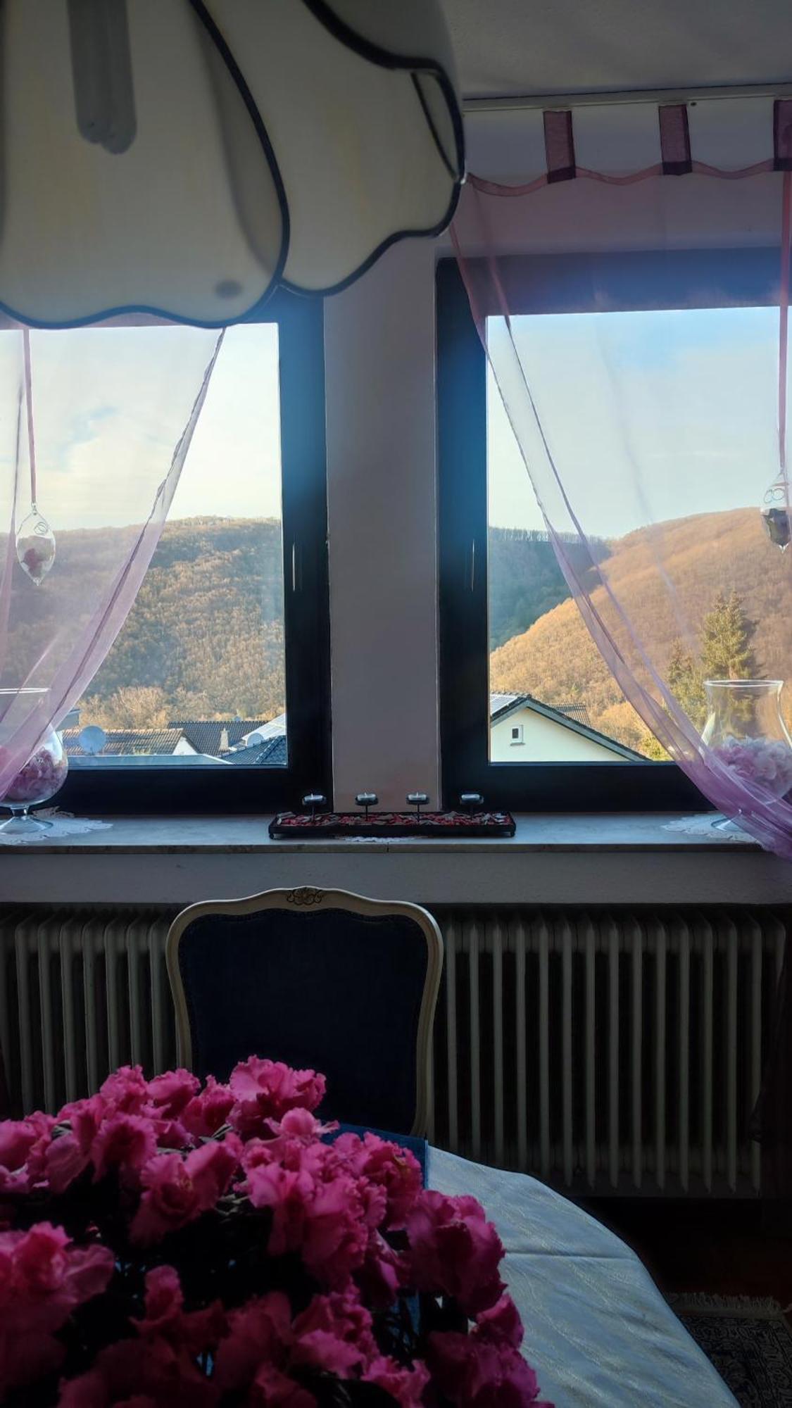 Kermeterblick Διαμέρισμα Schleiden Εξωτερικό φωτογραφία