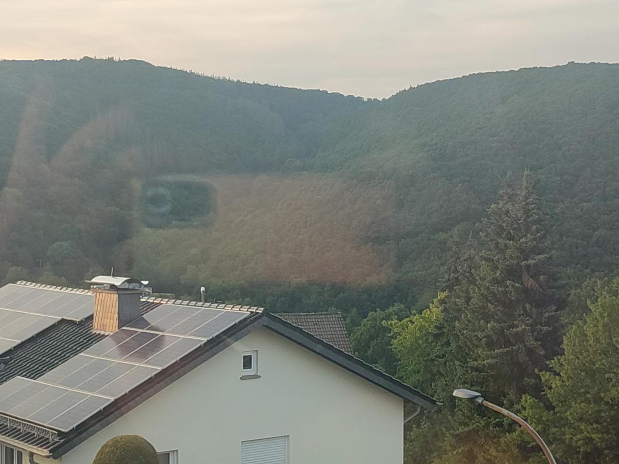 Kermeterblick Διαμέρισμα Schleiden Δωμάτιο φωτογραφία