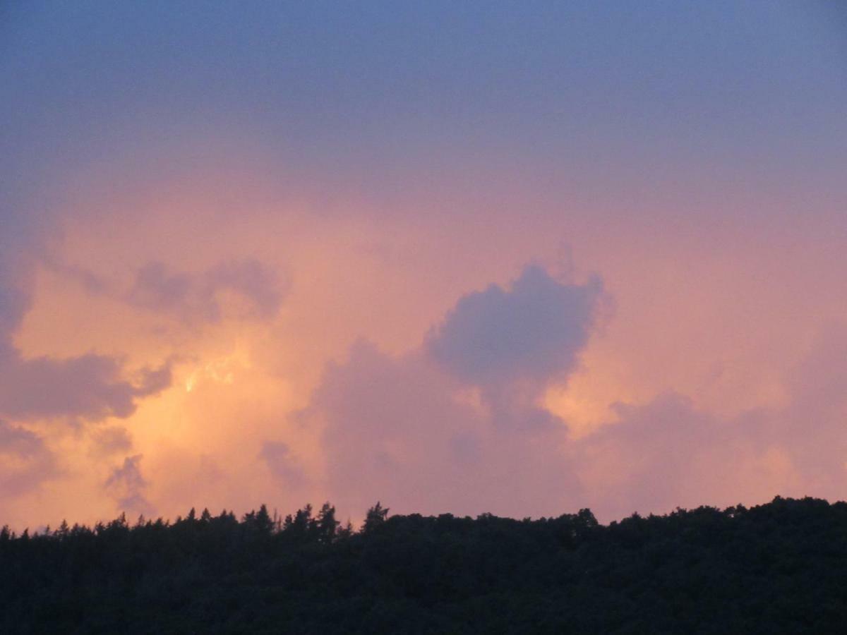 Kermeterblick Διαμέρισμα Schleiden Εξωτερικό φωτογραφία